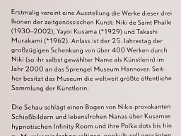 Ausstellung Niki. Kusama. Murakami