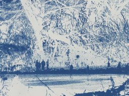 Christine Steyer, "Auf der Suche nach der blauen Blume II", Cyanotypie, 14,5x14,5cm