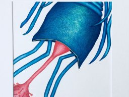 Inge Marion Petersen, "Wasserwesen I", Farbstifte auf Papier, 50x50cm