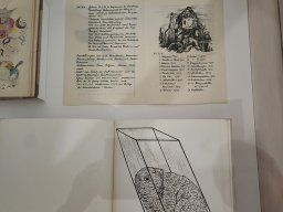 Grete Jürgens im Sprengelmuseum