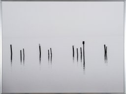 8630617e_s