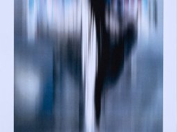8700118e_s