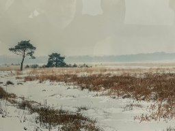 Eröffnung Jahresgaben 2026